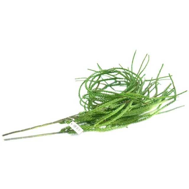 DPI GmbH DPI Vetplantenrank Groen vertakt & naaldachtig 115 cm - Kunstplanten
