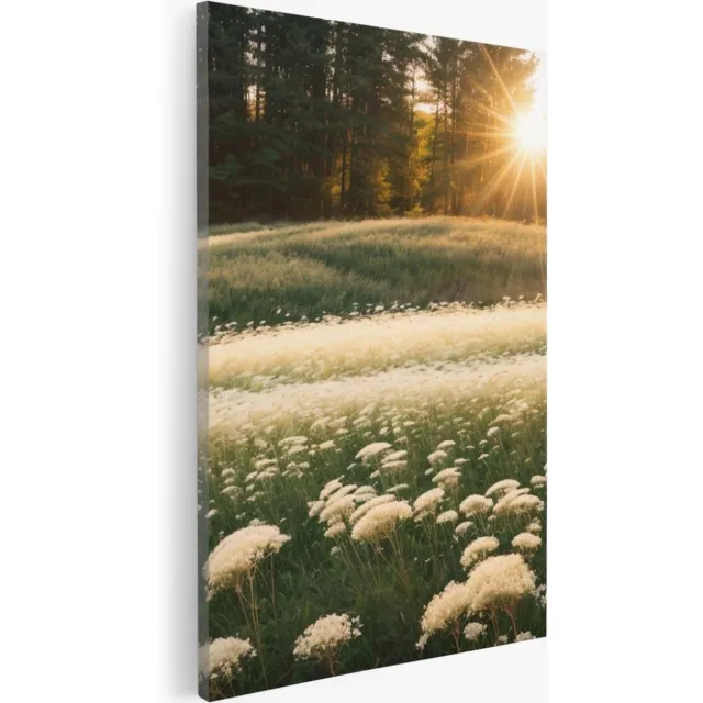 Saammp Canvas Schilderij - Landschap - Witte bloemen in het bos - Natuur - 50x70 - Foto op canvas - Wanddecoratie - Muurdecoratie Woonkamer - Slaapkamer decoratie - Canvas Print Multicolor