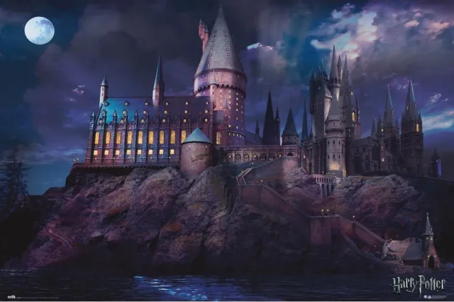 Grupo Erik Poster Harry Potter - Hogwarts 91,5x61cm Divers