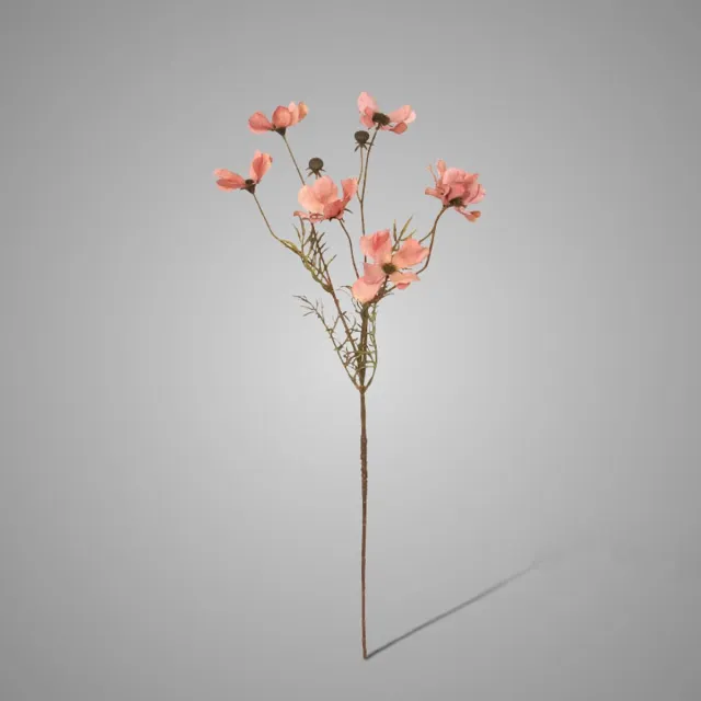Brynxz collections Brynxz | Zijdebloemen | Cornus | 67cm Roze, Oranje