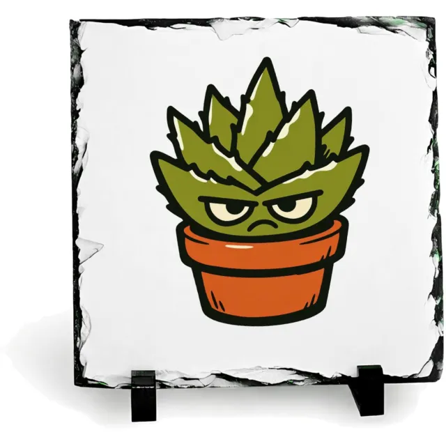 Mr Cadeautjes Leisteen vierkant 15 x 15 - design Een koppige, stekelige huisplant als grappige ‘ga weg’-boods | cadeau Wit