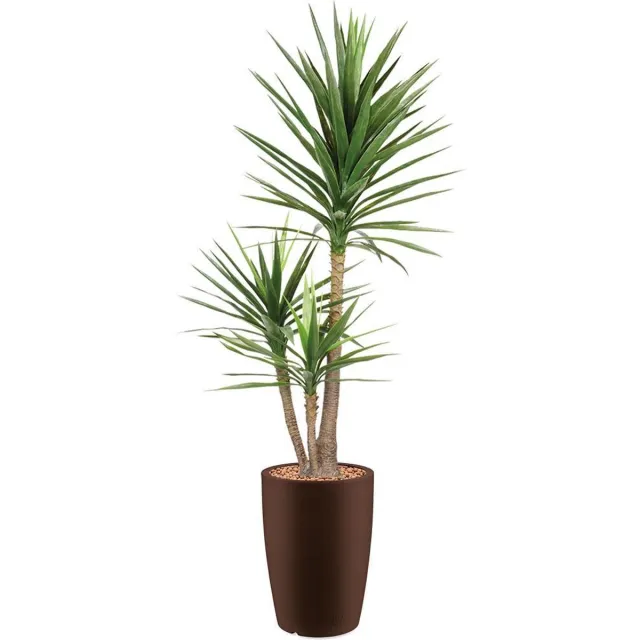 HTT Decorations HTT - Kunstplant Yucca in Genesis rond bruin H200 cm