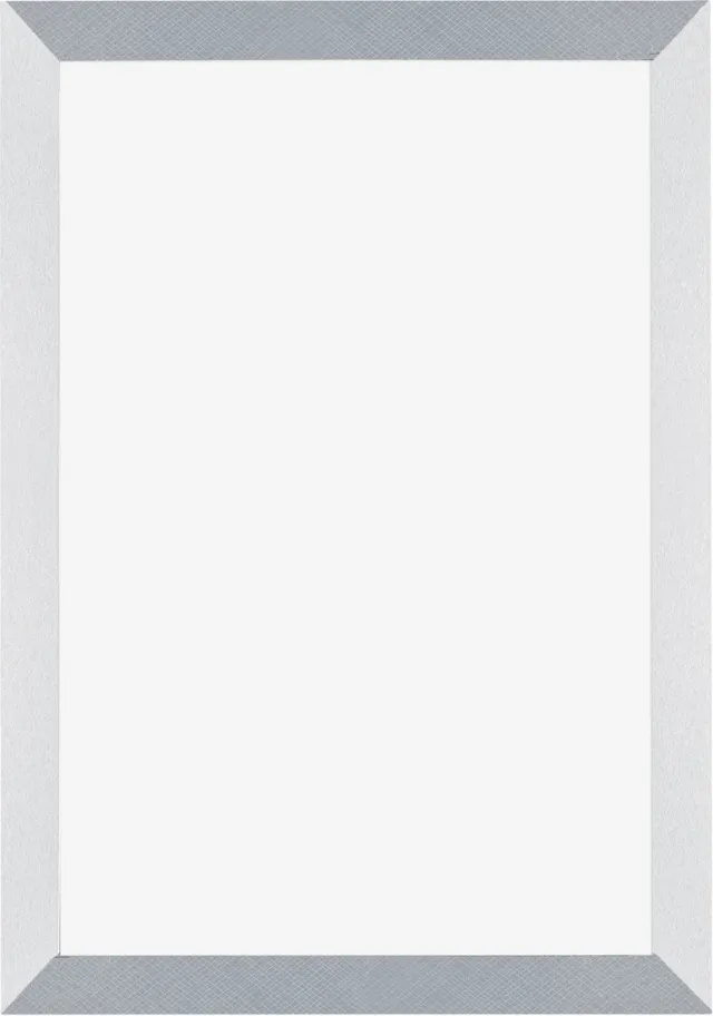 Dutch Frame Factory Fotolijst 61x91,5 cm - MDF - Aluminium Geborsteld - Marseille