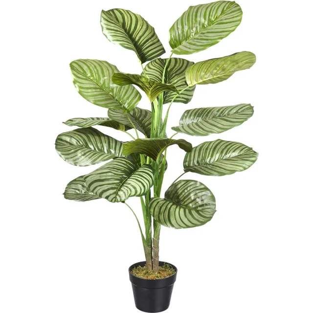 HTT Decorations Kunstplant Calathea H100cm - HTT Decorations kunstplanten Groen