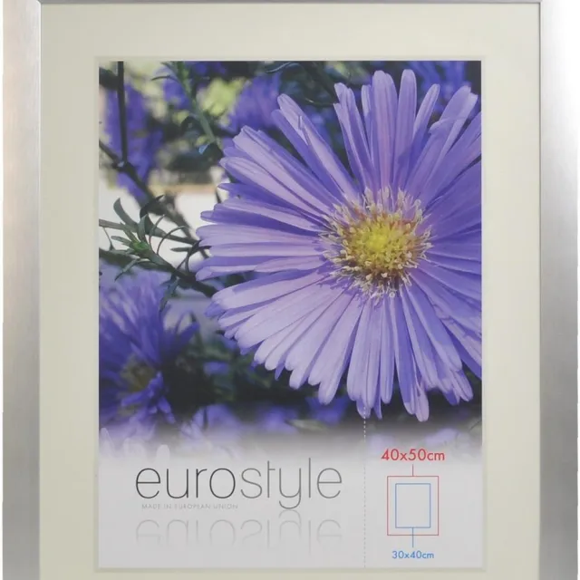Desq 4904 | Fotolijst Aluminium | Sterk Helder Plexiglas | 40 x 50