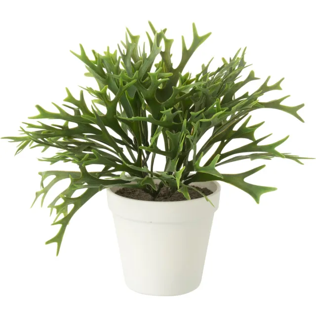 J-Line plant Platycerium Bifurcatum in pot - kunststof - groen