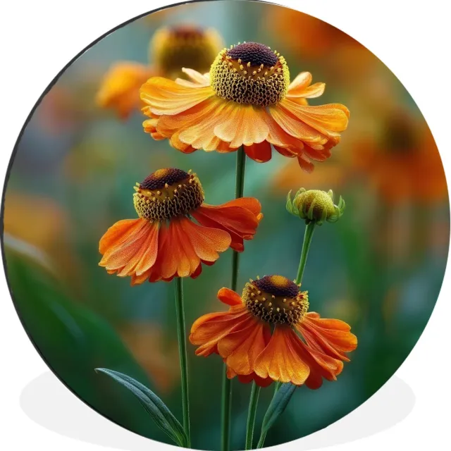 WallCircle Wandcirkel - Muurcirkel - Oranje bloemen - Levendig - Wazige achtergrond - Aluminium - Dibond - 120x120 cm - Binnen en Buiten