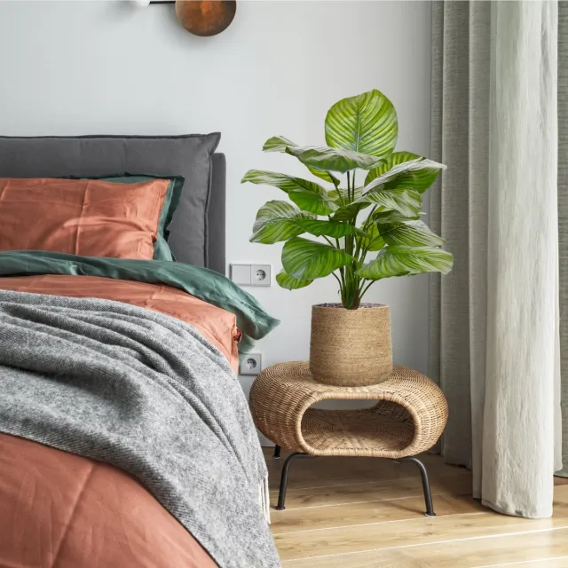 maxifleur Kunstplanten Calathea Fasciata kunstplant 70cm Groen