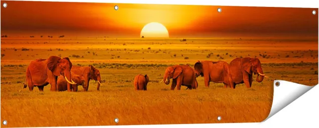 Gards Tuinposter Olifanten in het Wild - Zonsondergang - 150x50 cm - Tuindoek - Tuindecoratie - Wanddecoratie buiten - Tuinschilderij Multikleur