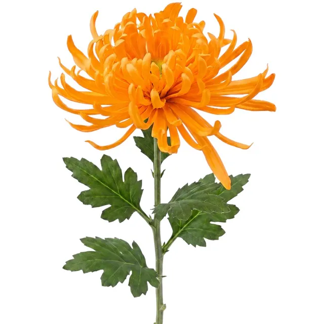 Clayre & Eef Kunstbloem Oranje Kunststof