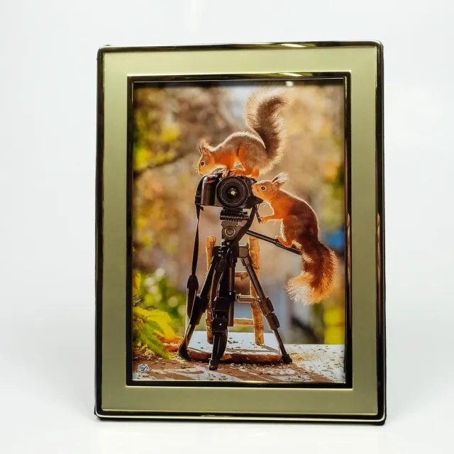 Alle lisjten AL - Fotolijst - Mat Goud - 20 x 25 cm