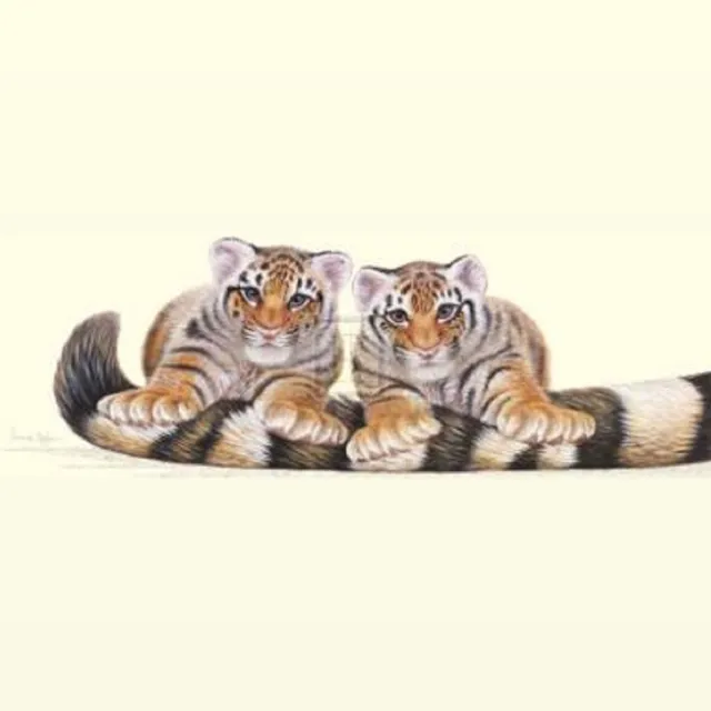 Images poster Images Warwick Higgs - Stripes 59 x 25 cm diverse kleuren