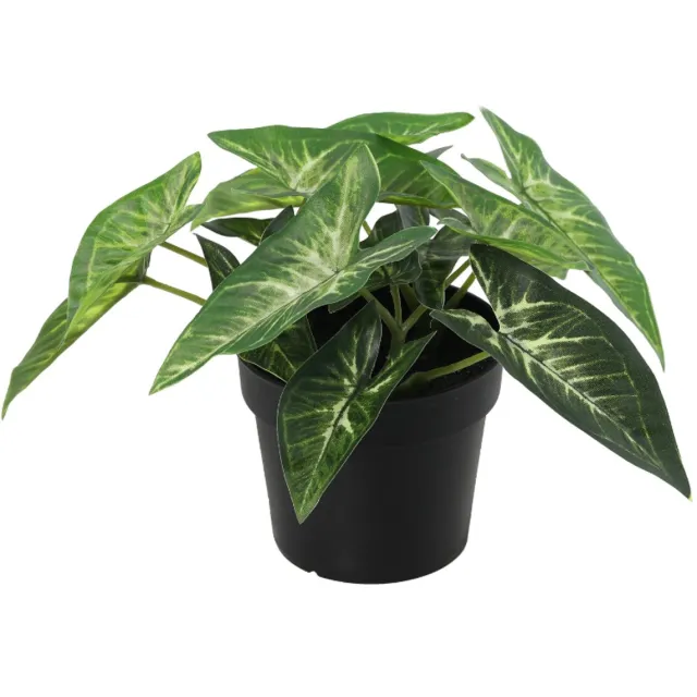 Trendyplants Kunst Syngonium - Pijlplant - Kunstplant - Hoogte 15cm - Potmaat Ø9cm Groen