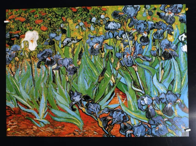 Catch Projecten Vincent van Gogh - Irissen - Kunstposter - 50x70 cm Multicolour