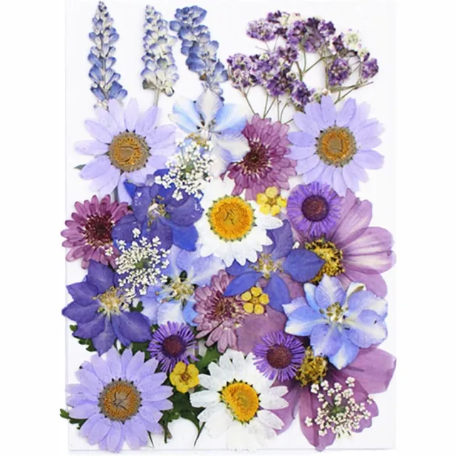 Cosensi Gedroogde bloemen mix voor creatieve projecten - 33 stuks - Decoratief - Kaarsen maken - Hars - Scrapbooking - Handwerk - Decoratie Paars