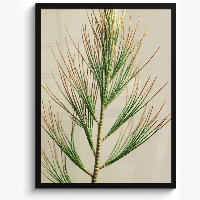 FrameYourWall Poster in lijst - Fotolijst 60x80 cm - Posters - Dennentak - Naaldvormige bladeren - Lichtgroen - Posterlijst zwart - Decoratie - Wanddecoratie woonkamer - Muurdecoratie slaapkamer