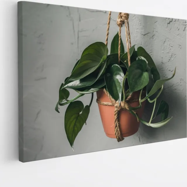 Saammp Canvas Schilderij - Hangplant Hartvormige Bladeren - Natuur - Abstract - 50x40 - Foto op canvas - Wanddecoratie - Muurdecoratie Woonkamer - Kantoor Decoratie Multicolor