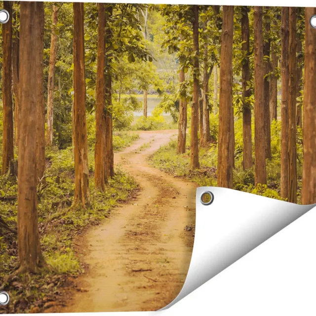 Gards Tuinposter Pad in het Bos met Bomen - 50x40 cm - Tuindoek - Tuindecoratie - Wanddecoratie buiten - Tuinschilderij Multikleur