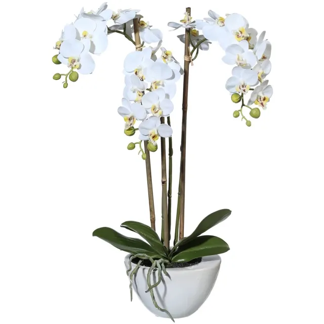 Kopu Kunstorchidee 51 cm - Wit - Witte schaal - Phalaenopsis