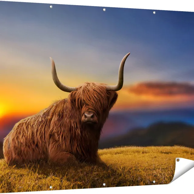 Gards Tuinposter Schotse Hooglander Koe op een Heuvel - 160x120 cm - Tuindoek - Tuindecoratie - Wanddecoratie buiten - Tuinschilderij Multikleur
