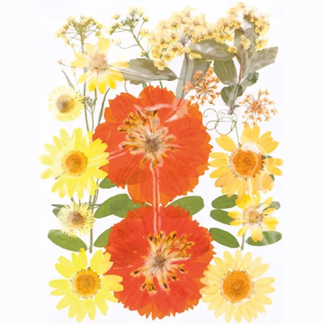 Artemio Geperste droogbloemen - Artemio geel