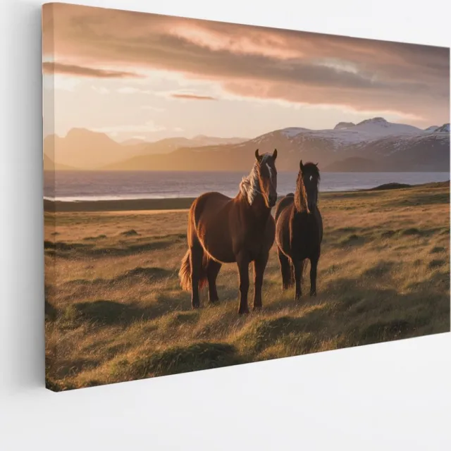 Saammp Canvas Schilderij - Paarden in de wei - Dieren - Natuur - 70x50 - Foto op canvas - Wanddecoratie - muurdecoratie Woonkamer - Slaapkamer decoratie - Canvas Print Multicolor