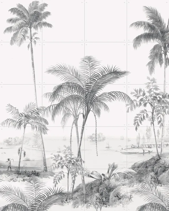 IXXI Exotic Palm, Creative Lab Amsterdam - 80 x 100 cm - Grote wanddecoratie en posters - Naturalisme, Illustraties, Woonkamer, Slaapkamer, Palmbomen Grijs / Lichte tinten / Zwart en wit / Monochroom