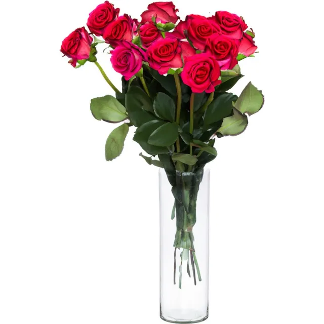 Cepewa Bloemenvaas Cylinder - helder transparant - glas - 15 x 40 cm - hand geblazen glas
