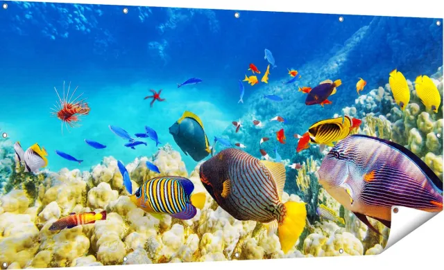 Gards Tuinposter Vissen in de Oceaan met Koralen - 180x90 cm - Tuindoek - Tuindecoratie - Wanddecoratie buiten - Tuinschilderij Multikleur