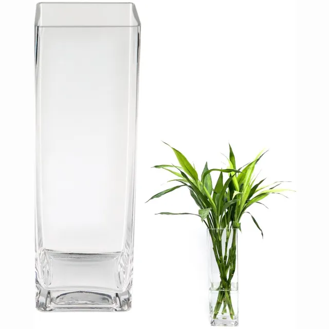 Imperatoris Glazen Vazen / Glazen Flessen – Mini Decoratieve Vaas Flesjes – Helder Glas – Inclusief Strik – 12 x 12 x 40 cm – Transparant