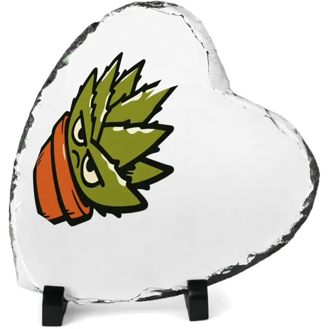 Mr Cadeautjes Leisteen hart 14 x 14 - design Een koppige, stekelige huisplant als grappige ‘ga weg’-boods | cadeau Wit
