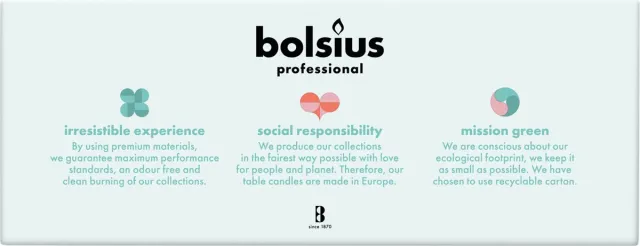 Bolsius Professional - Horeca gotische kaars - 100 stuks per verpakking - Taupe