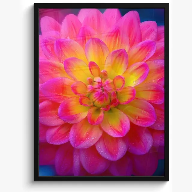 FrameYourWall Poster in lijst - Fotolijst 50x70 cm - Posters - Roze - Dahlia - Kleurrijk - Posterlijst zwart - Decoratie - Wanddecoratie woonkamer - Muurdecoratie slaapkamer