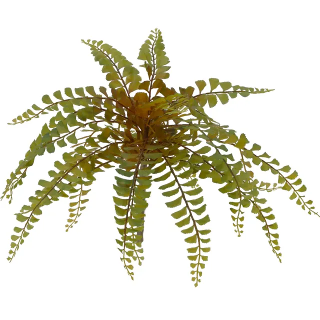 maxifleur Kunstplanten Adiantum varen kunstplant 40cm Groen