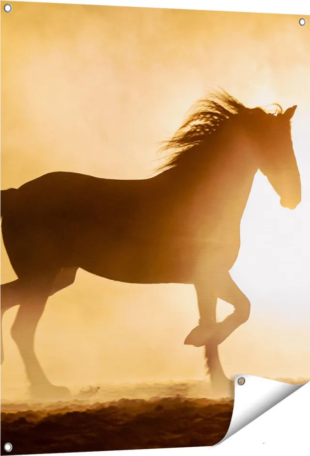 Gards Tuinposter Silhouet van een Paard - 80x100 cm - Tuindoek - Tuindecoratie - Wanddecoratie buiten - Tuinschilderij Multikleur