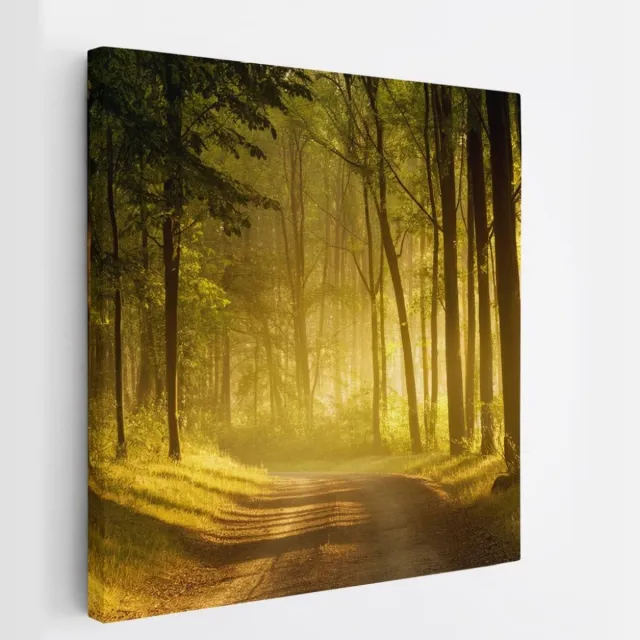 Saammp Canvas Schilderij - Weg door het bos - Bomen - Landschap - Natuur - 60x60 - Foto op canvas - Wanddecoratie - Muurdecoratie Woonkamer - Slaapkamer decoratie - Canvas Print Multicolor