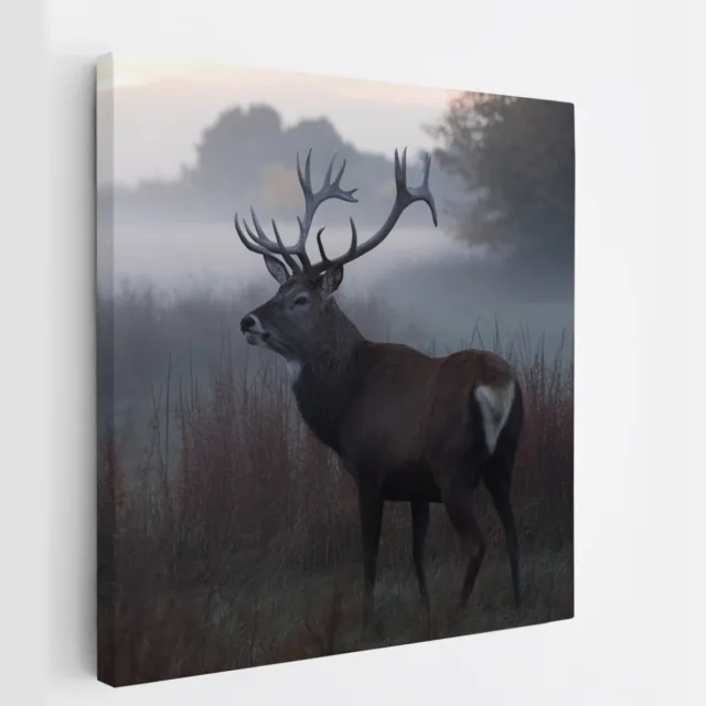 Saammp Canvas Schilderij - Hert - Mist - Natuur - Dieren - 100x100 - Foto op canvas - Wanddecoratie - Muurdecoratie Woonkamer - Slaapkamer decoratie - Canvas Print Multicolor