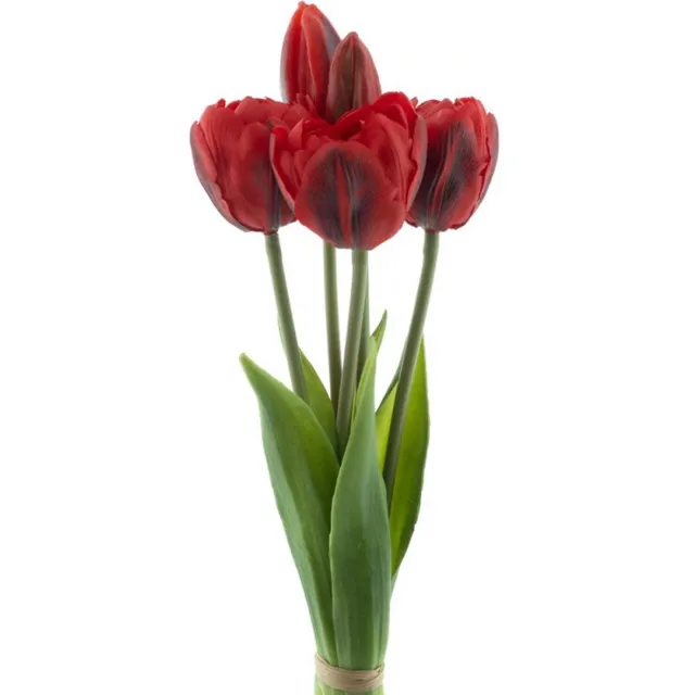 Erutan avon PSO Triumph tulip bundle Sally x5 red 29 cm onbekend