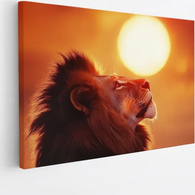 Saammp Canvas Schilderij - Leeuw met afrikaanse zon - Dieren - Natuur - 40x30 - Foto op canvas - Wanddecoratie - Muurdecoratie Woonkamer - Slaapkamer decoratie - Canvas Print Multicolor