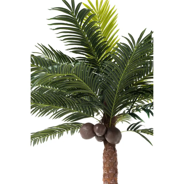 J-Line palmboom 4kokosnoten in pot - kunststof - groen