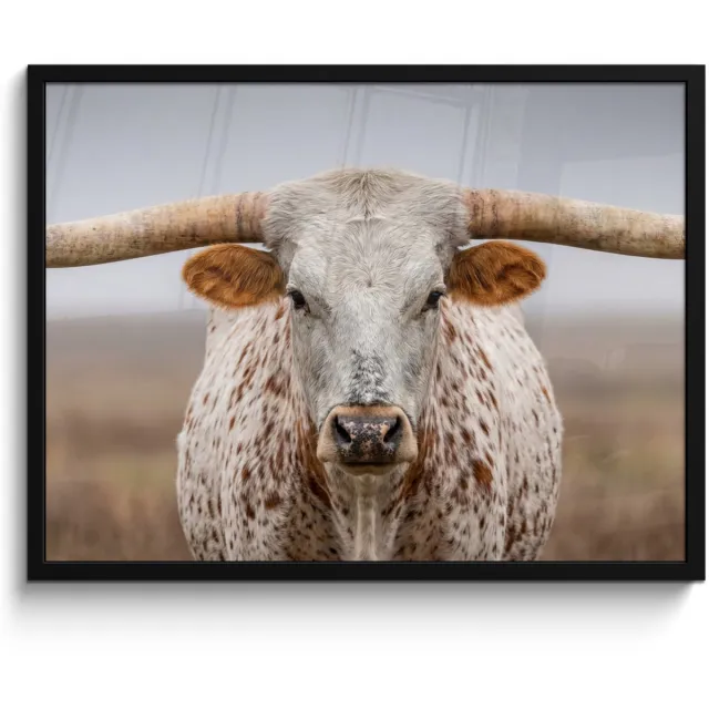 FrameYourWall Poster in lijst - Fotolijst 80x60 cm - Posters - Longhorn - Grasveld - Dier - Posterlijst zwart - Decoratie - Wanddecoratie woonkamer - Muurdecoratie slaapkamer