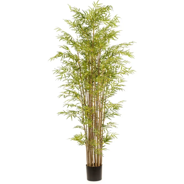 Emerald Kunstplant Bamboe Japanese Multi 210cm - Kunstplant voor binnen Groen
