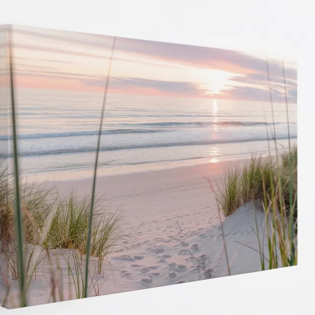 Saammp Canvas Schilderij - Strand En Zee - duinen - Planten - 90x60 - Foto op canvas - Wanddecoratie - muurdecoratie Woonkamer - Slaapkamer decoratie - Canvas Print Multicolor