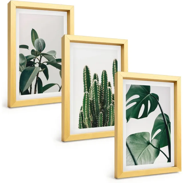 TULUP 4-Delige Schilderij Set - Tropische kamerplanten met esthetische bladeren - 20 x 30 cm - Stijlvolle Muurdecoratie - Kantoor Gouden lijst