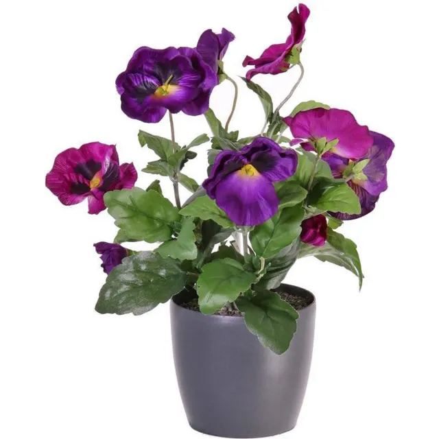 wonenencadeau.nl Viooltje, 9 bloemen (7x Ø 7cm en 2x Ø 2,5cm), 28cm paars
