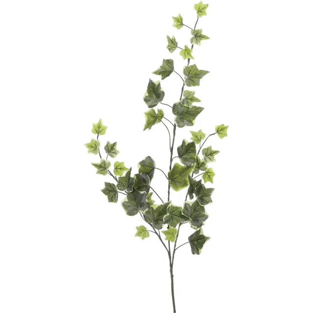 Mica Decorations Kunstplant takken Hedera - H63 cm - lichtgroen - kunststof - bladgroen - siertakken - klimop