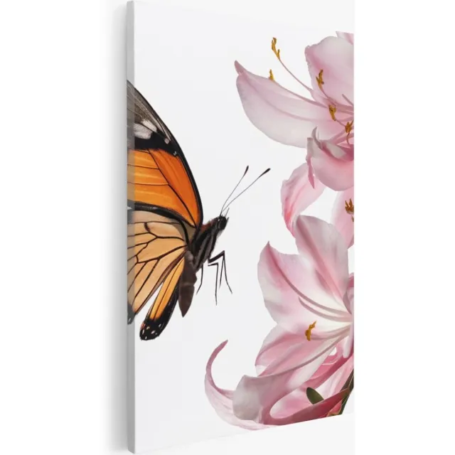 Saammp Canvas Schilderij - Vlinder op roze bloem - Landschap - Natuur - 50x70 - Foto op canvas - Wanddecoratie - Muurdecoratie Woonkamer - Slaapkamer decoratie - Canvas Print Multicolor
