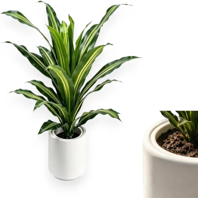 Danky Kunstmatige Dracaena Bonsai - Realistische groene bladeren - Duurzaam materiaal - Geschikt voor binnen- en buitengebruik, ideaal voor woonkamers en kantoren.