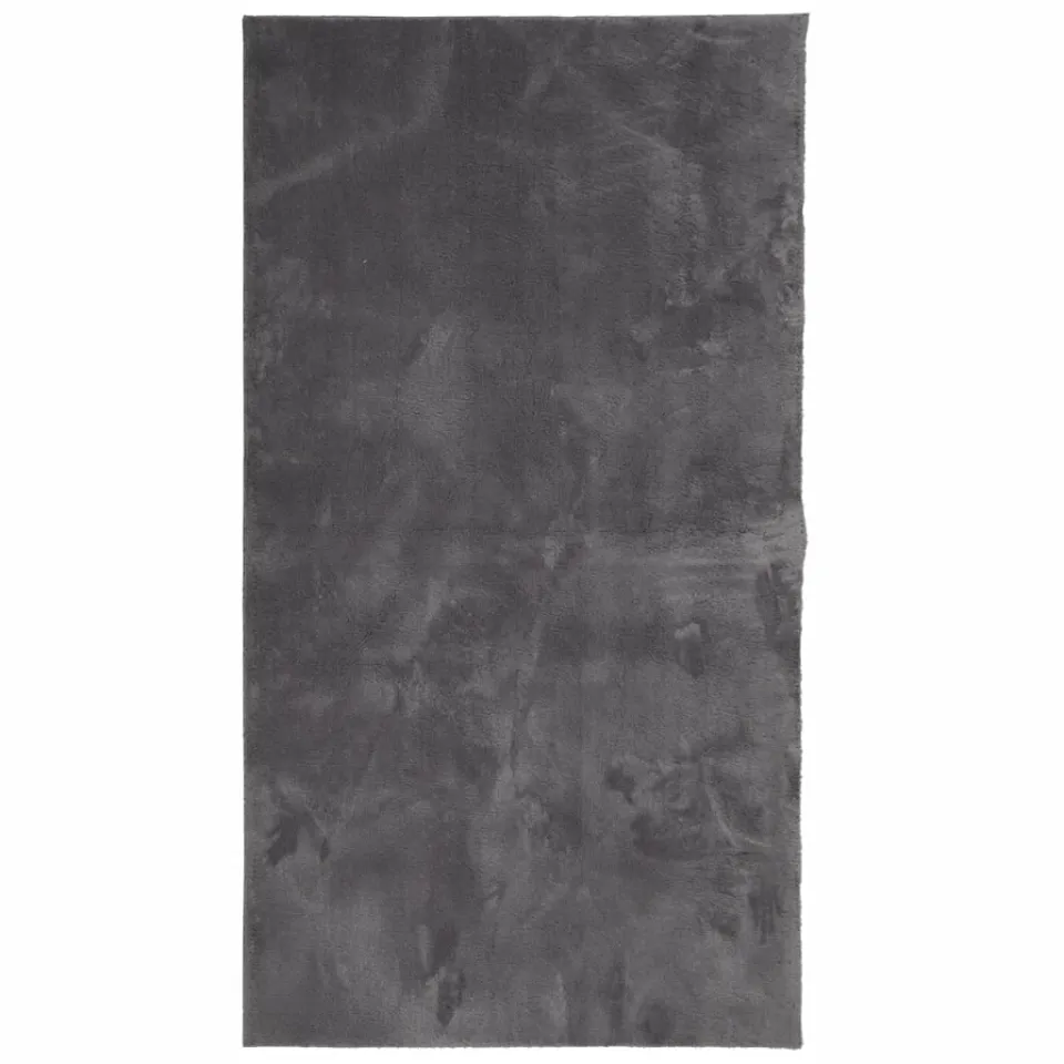 vidaXL Vloerkleed HUARTE laagpolig zacht wasbaar 60x110 cm antraciet, foto 3
