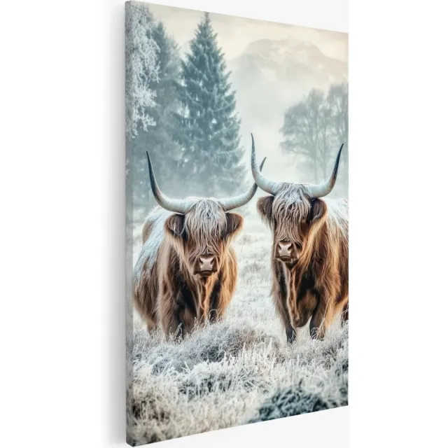 Saammp Canvas Schilderij - 2 Schotse Hooglanders in bevroren gras - Natuur - Dieren - 30x40 - Foto op canvas - Wanddecoratie - Muurdecoratie Woonkamer - Slaapkamer decoratie - Canvas Print Multicolor